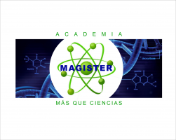 Academia Magister Más Que Ciencias